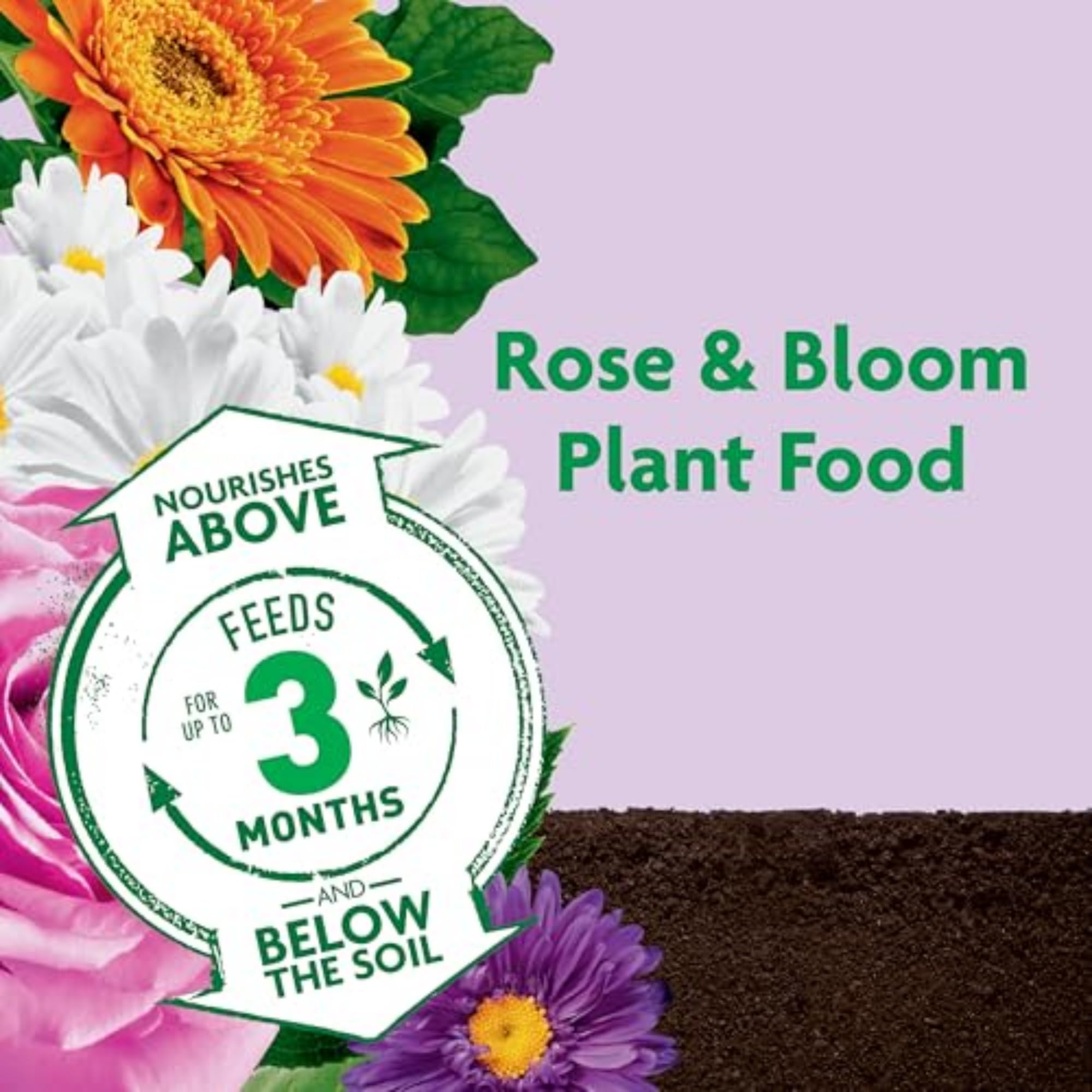 Miracle-Gro Shake 'n Feed granules on dry soil for extended nourishment.