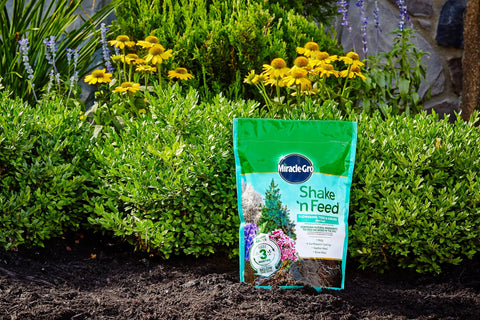 Miracle-Gro Shake 'N Feed is sprinkled over soil to nourish roots.