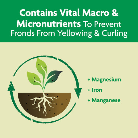 Miracle-Gro Shake 'N Feed used in-ground around a palm