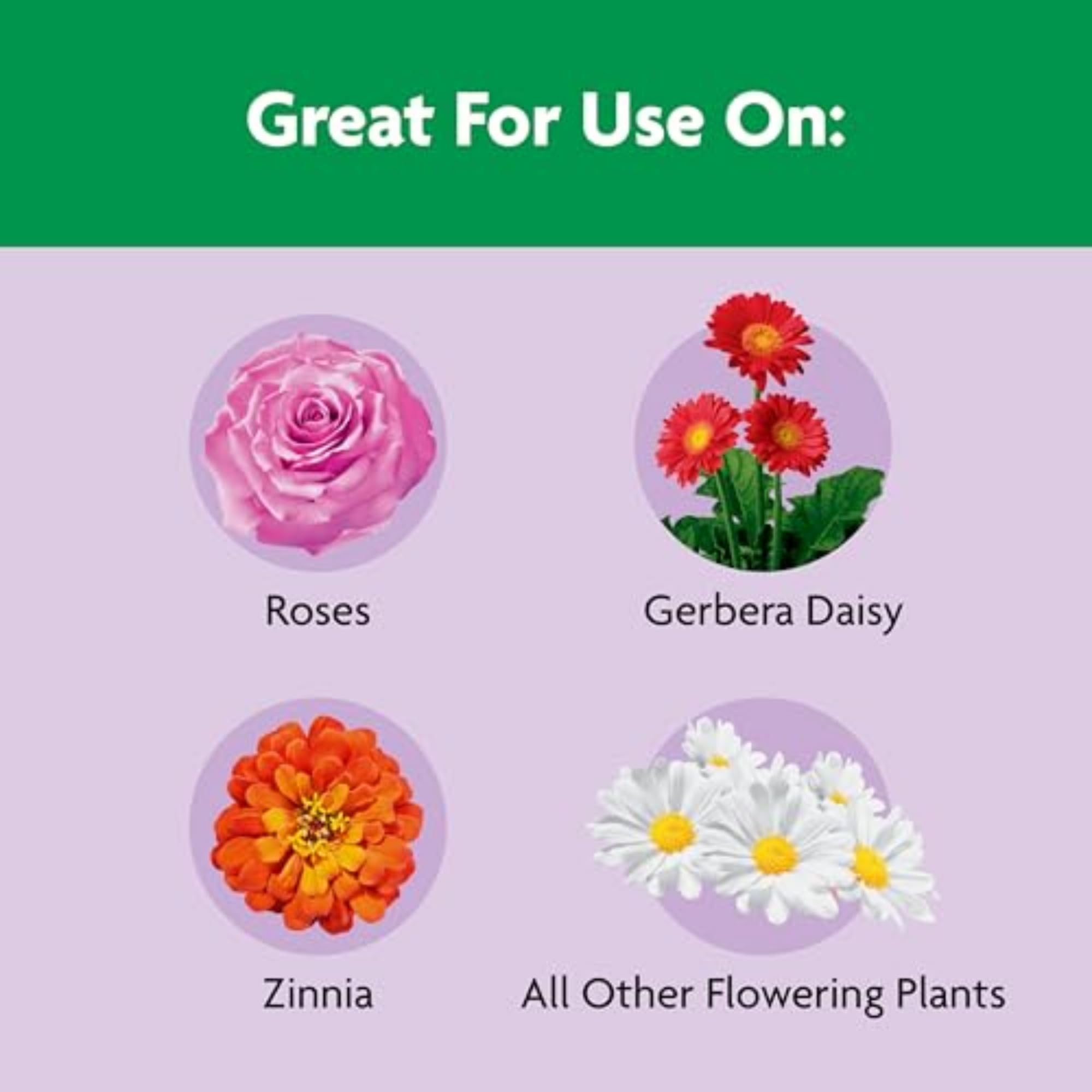 Miracle-Gro Shake 'n Feed ideal for new and established roses.
