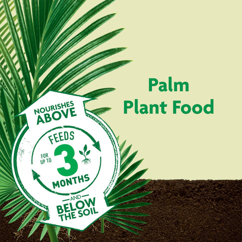 Palm fronds thriving with Miracle-Gro Shake 'N Feed label