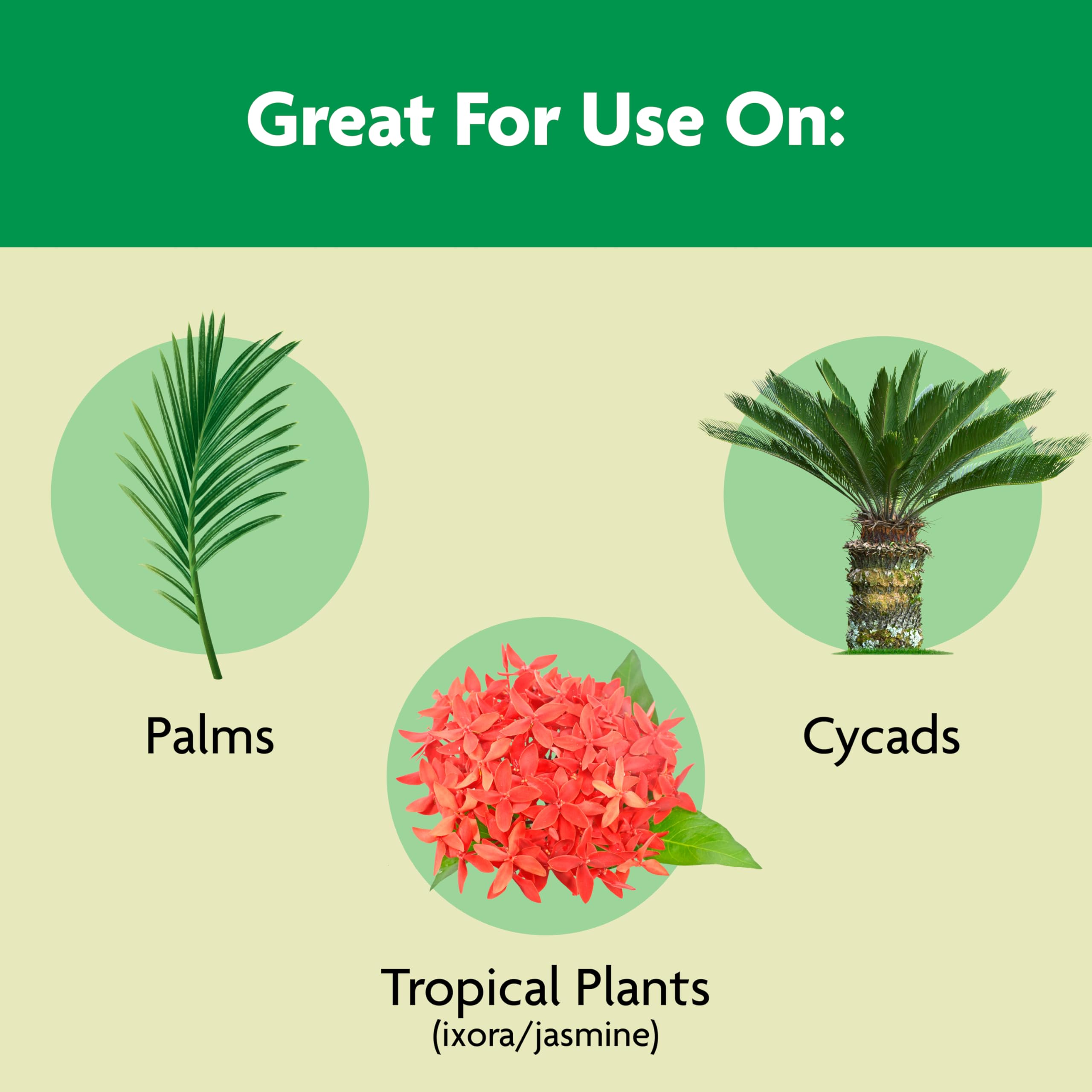 Close-up of Miracle-Gro Shake 'N Feed granules for palm care