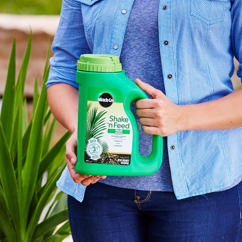 Close-up of Miracle-Gro palm bag showing the dry, ready-to-use formula