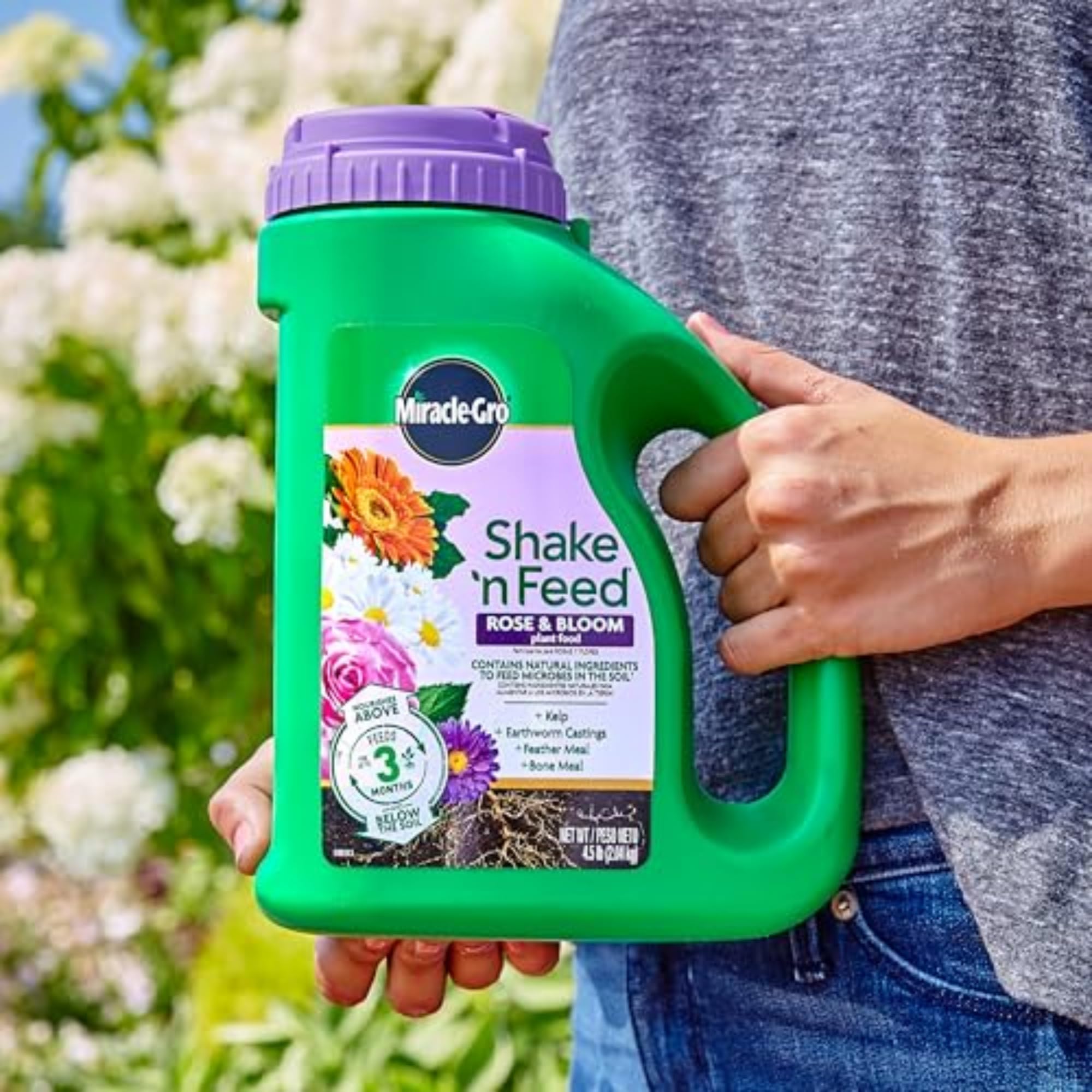 Shake 'n Feed three-month feeding cycle protecting roses.