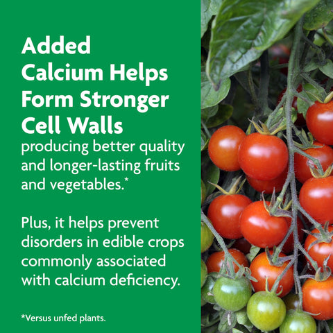 Miracle-Gro Shake 'N Feed benefits tomatoes, fruits, and vegetables in bloom.