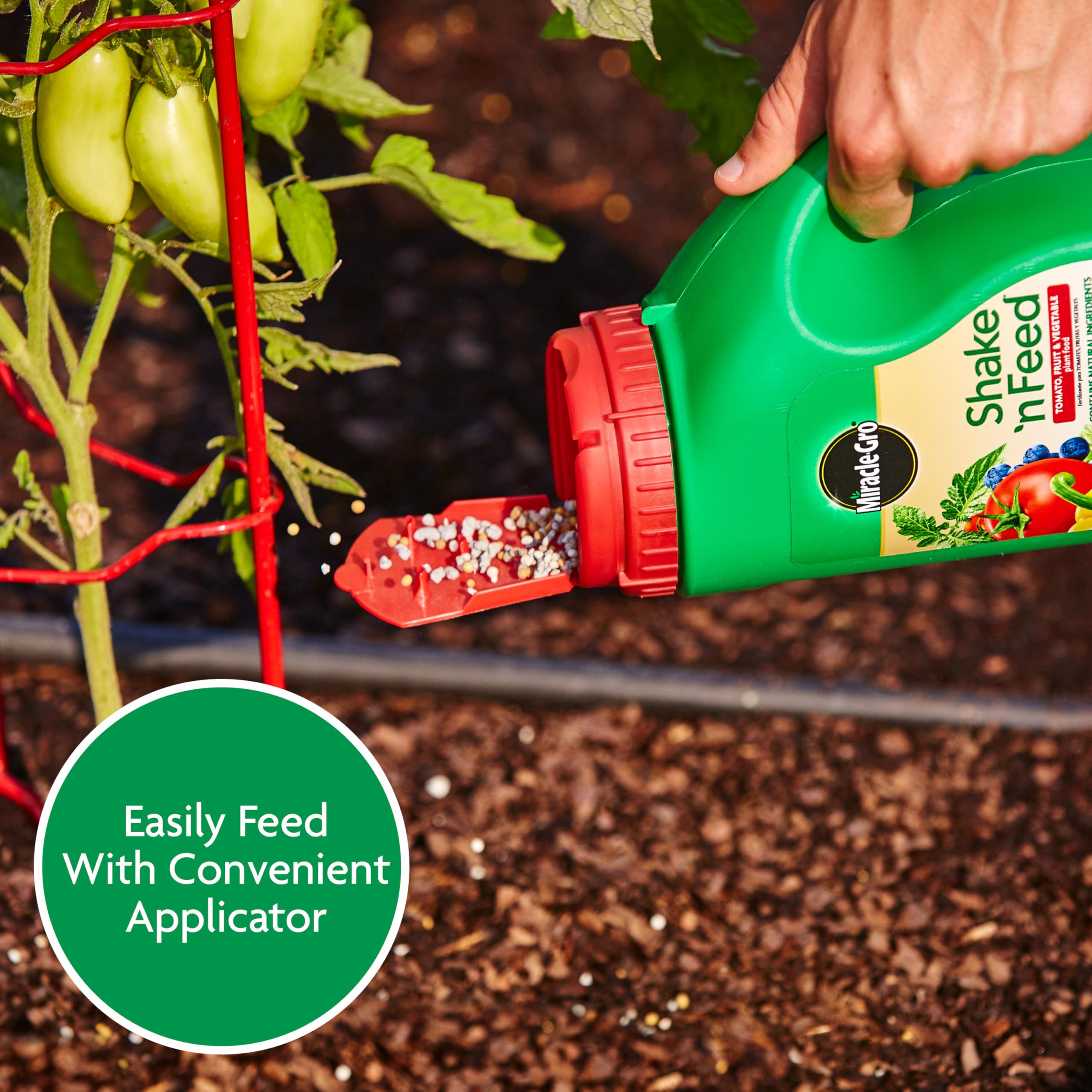 Soil microbes nourished by Miracle-Gro Shake 'N Feed's natural ingredients