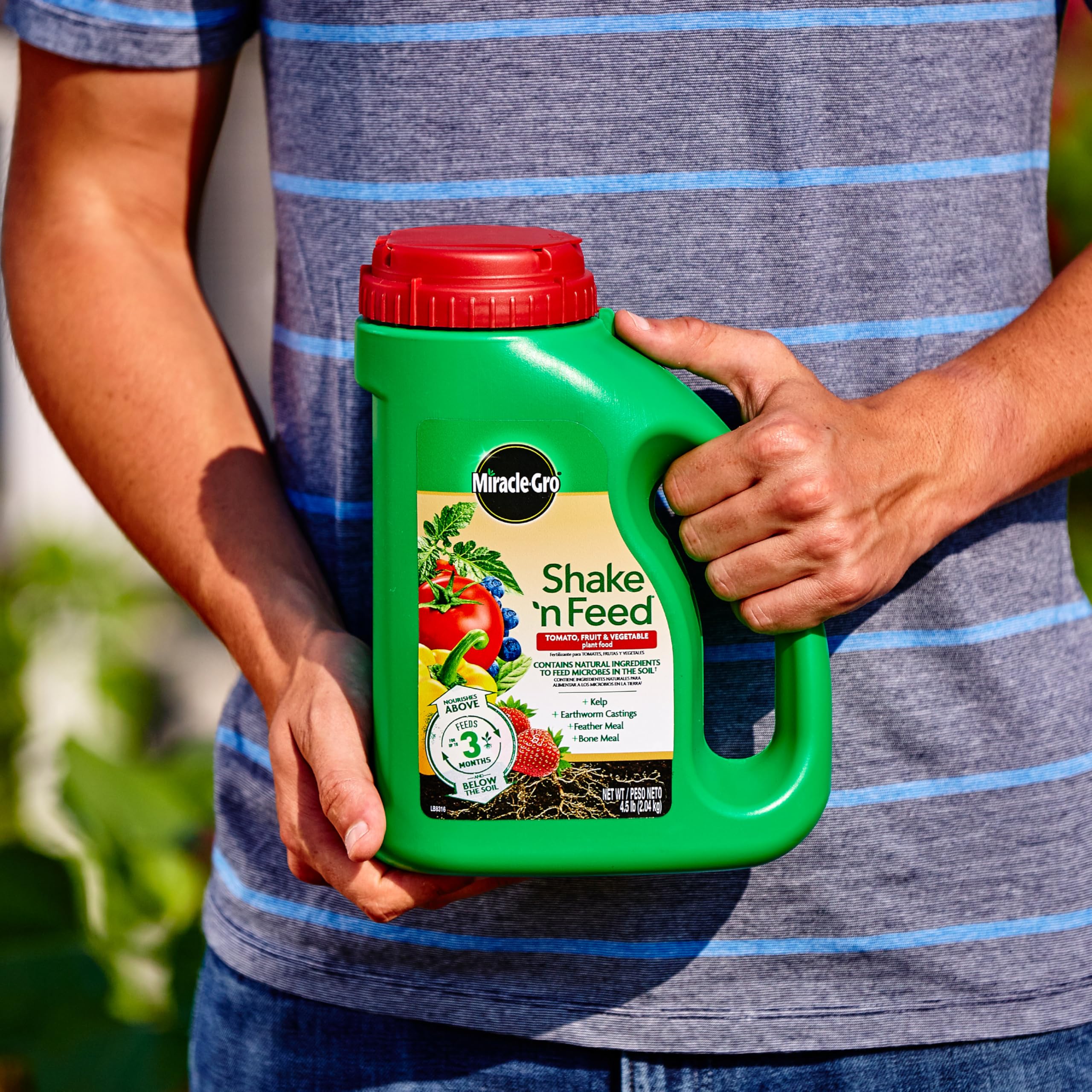 Spreading Miracle-Gro Shake 'N Feed on soil to start feeding roots