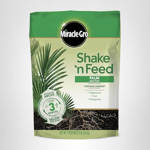 Tropical garden palm thriving with Miracle-Gro Shake 'N Feed