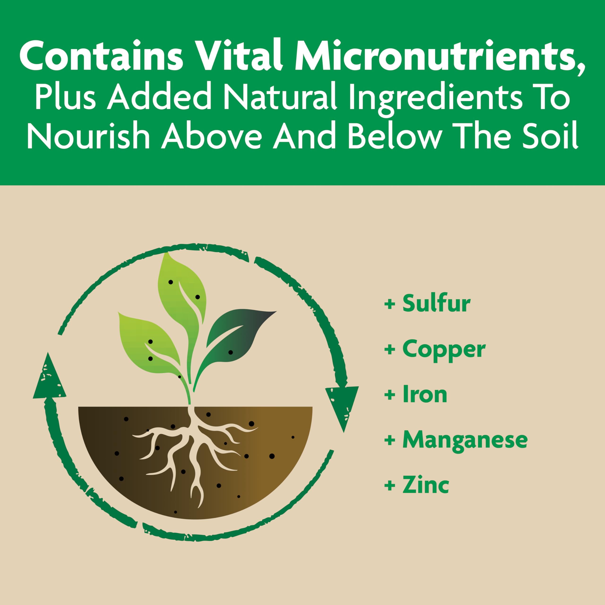 Miracle-Gro Shake 'N Feed watering starts the nutrient release process.