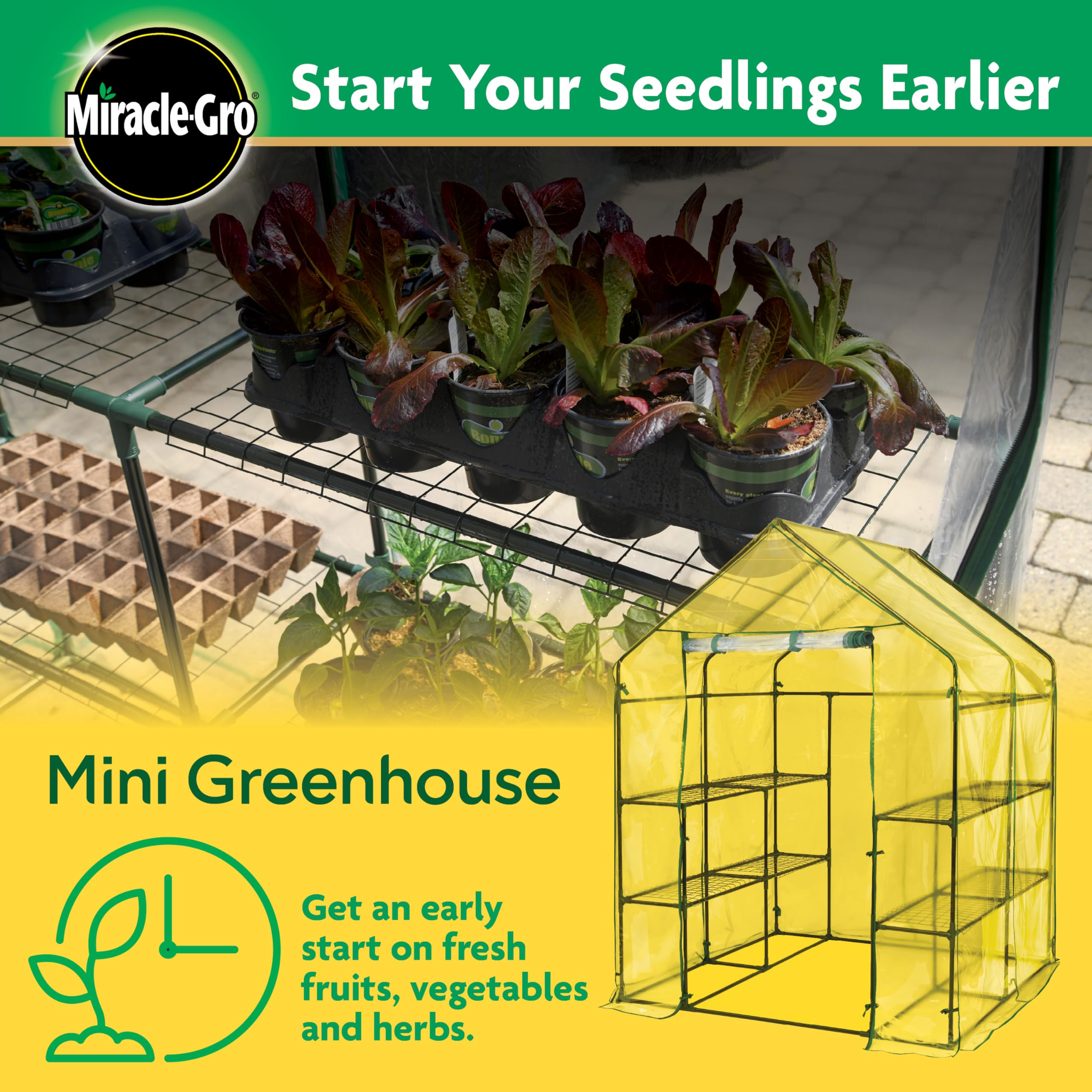 Miracle-Gro Small Walk-In Greenhouse cover setup for maximum sunlight