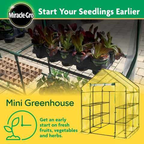 Miracle-Gro Small Walk-In Greenhouse cover setup for maximum sunlight
