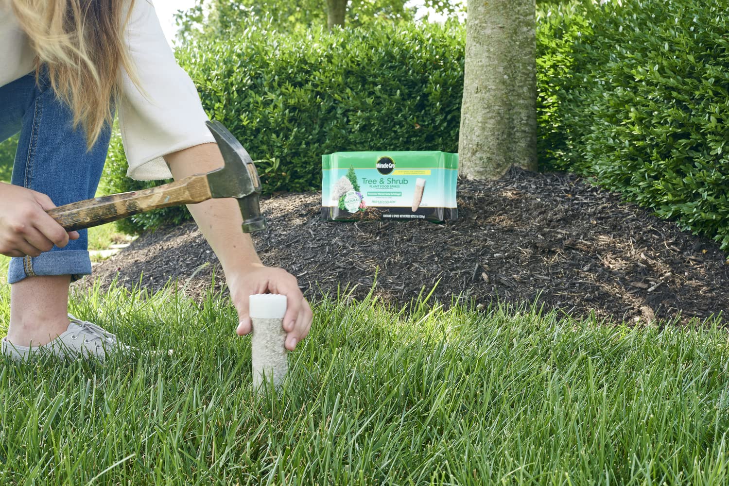 Miracle-Gro spikes inserted into soil demonstrating easy root-zone feeding