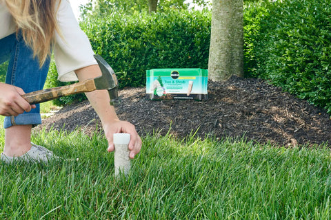 Miracle-Gro spikes inserted into soil demonstrating easy root-zone feeding