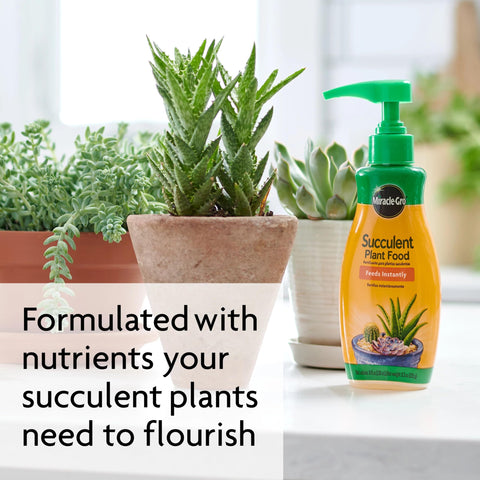 Two-bottle Miracle-Gro bundle offers value for ongoing succulent care.