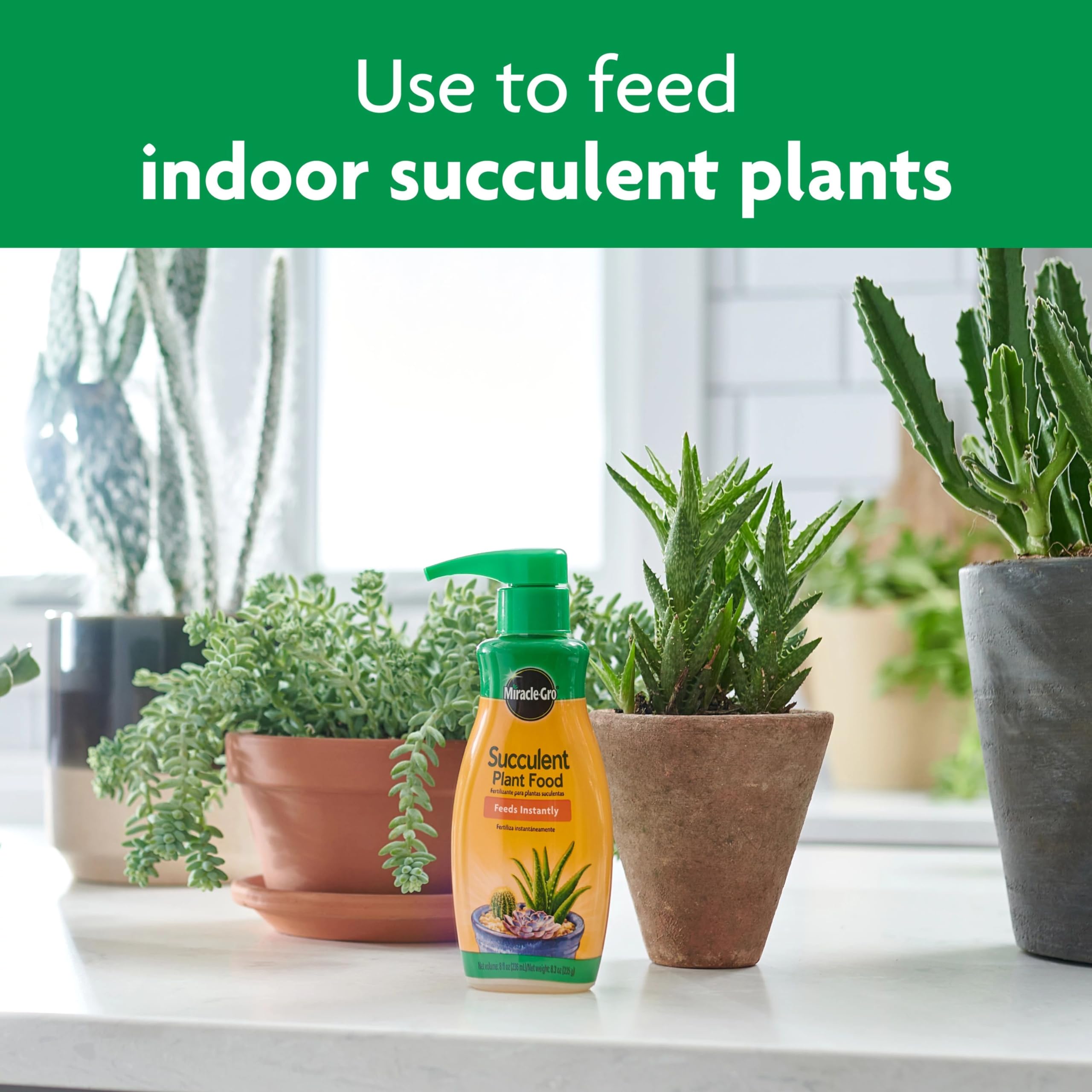 Dosing chart for Miracle-Gro Succulent Plant Food guides regular feeding.
