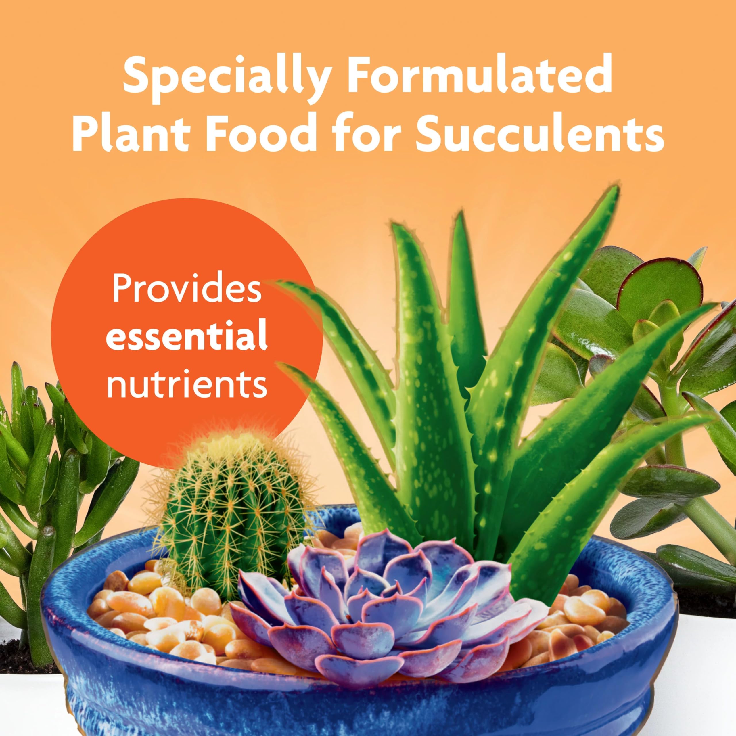 Miracle-Gro Succulent Plant Food pump-apply shows simple soil feeding for small pots.