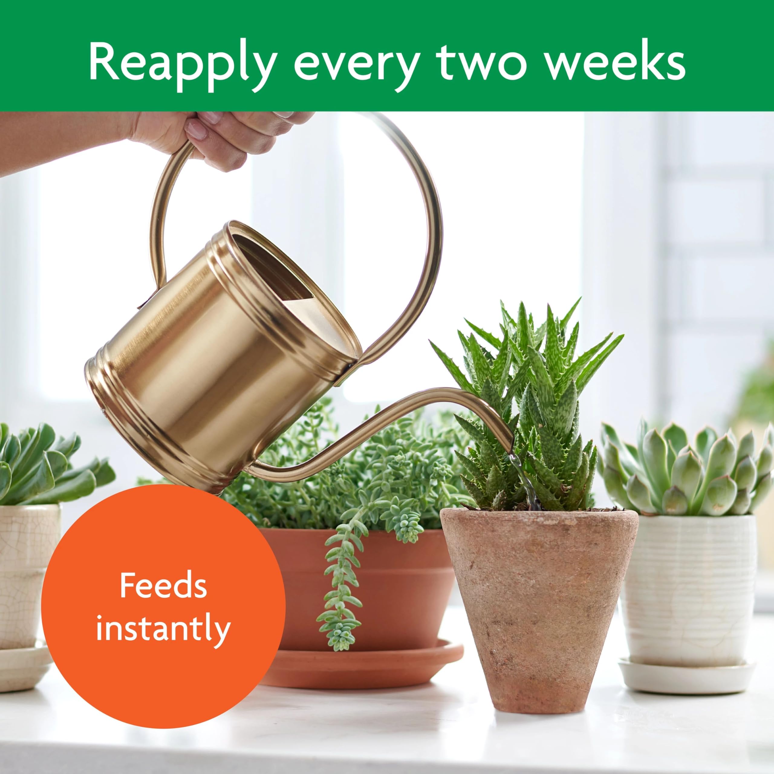 Miracle-Gro water-dilution feed enables feeding multiple plants at once.