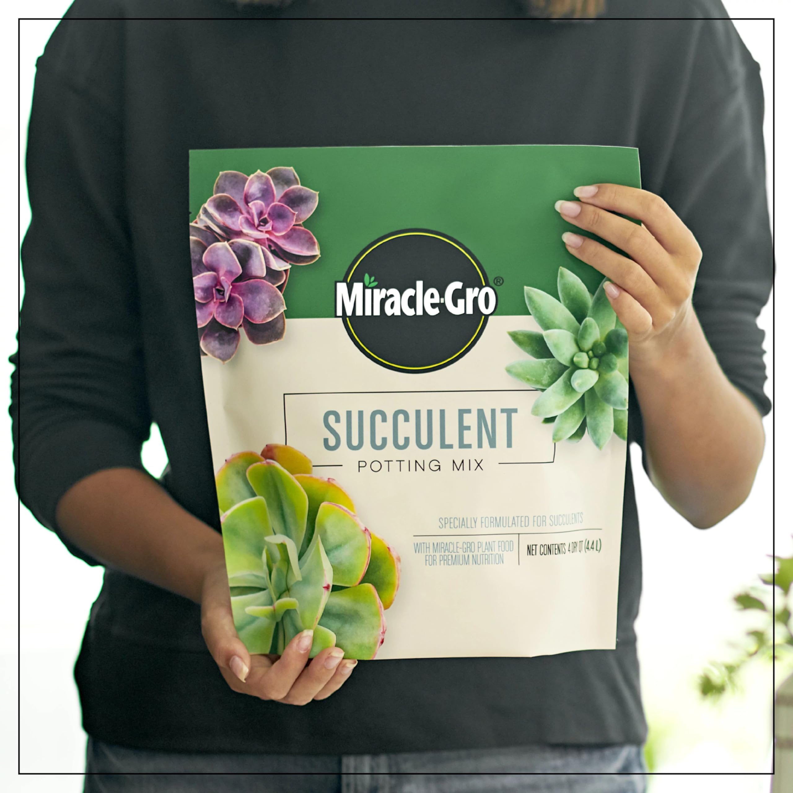8-inch pot setup with Miracle-Gro succulent soil for thriving containers