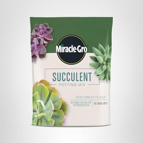 Pouring Miracle-Gro succulent mix into plant pot