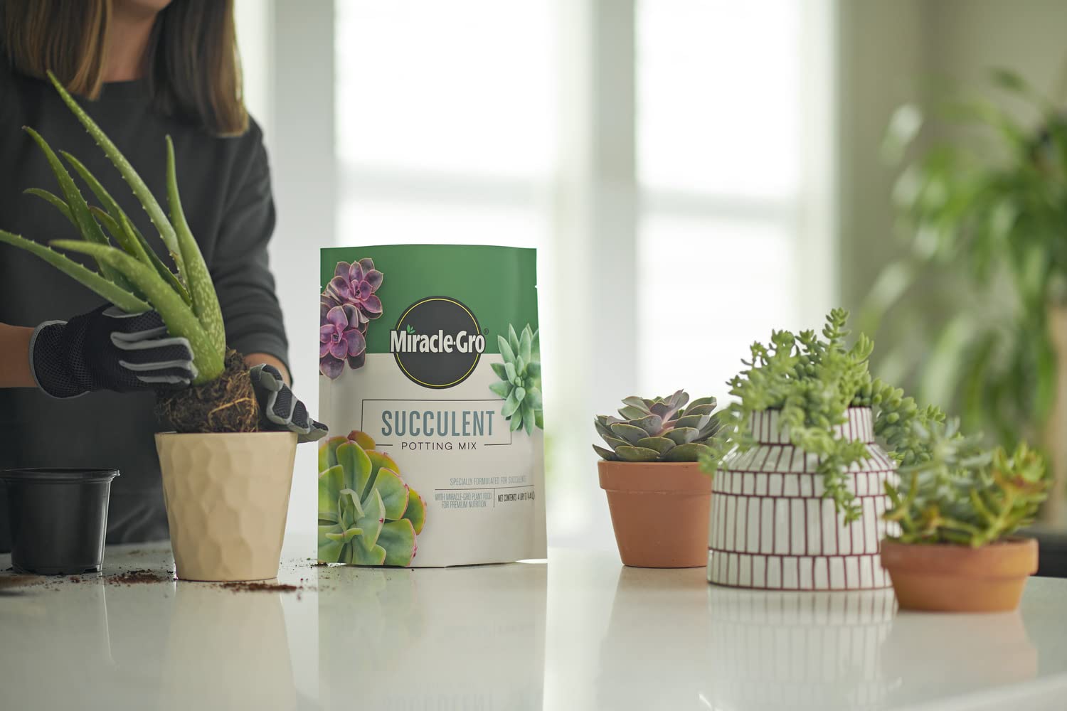 Miracle-Gro succulent potting mix helps cacti and other succulents thrive.