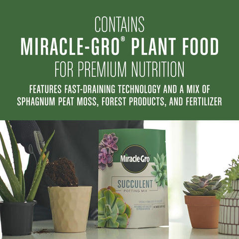 Cactus in pot with Miracle-Gro succulent mix delivering nutrition