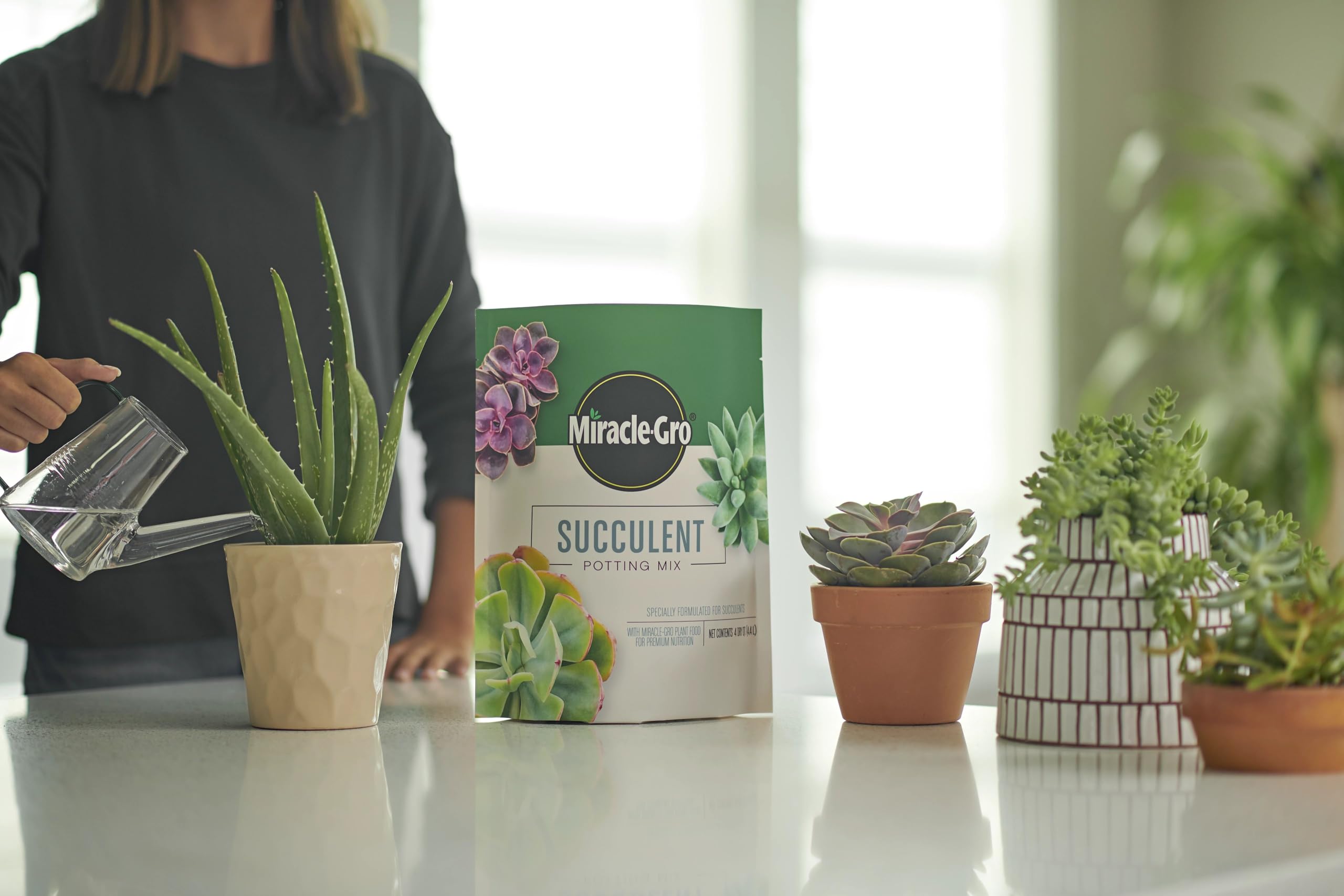 Miracle-Gro Succulent Potting Mix in indoor planter setup boosts growth