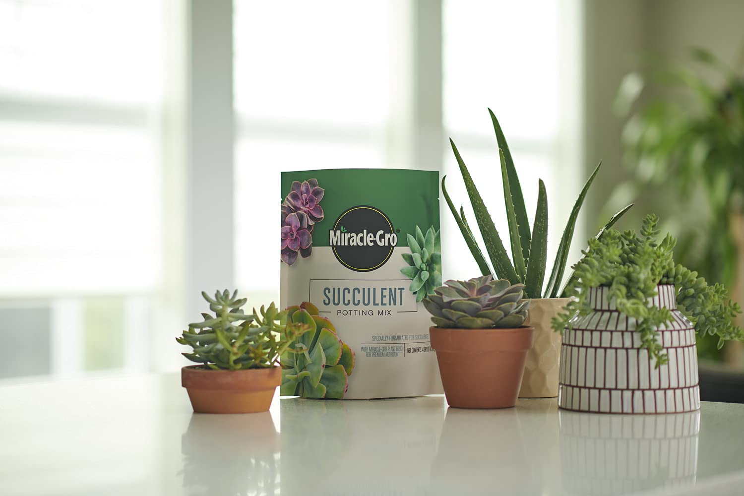 Miracle-Gro succulent potting mix ingredients highlight peat and plant food.