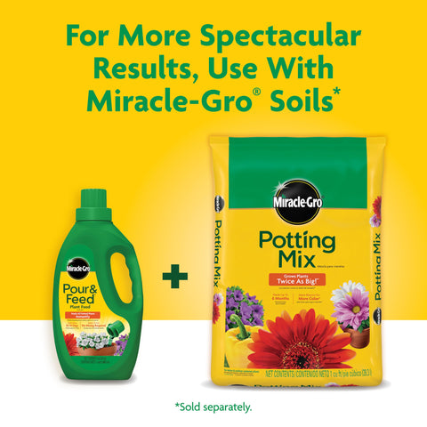 Container plants show healthy growth after Miracle-Gro Pour & Feed.