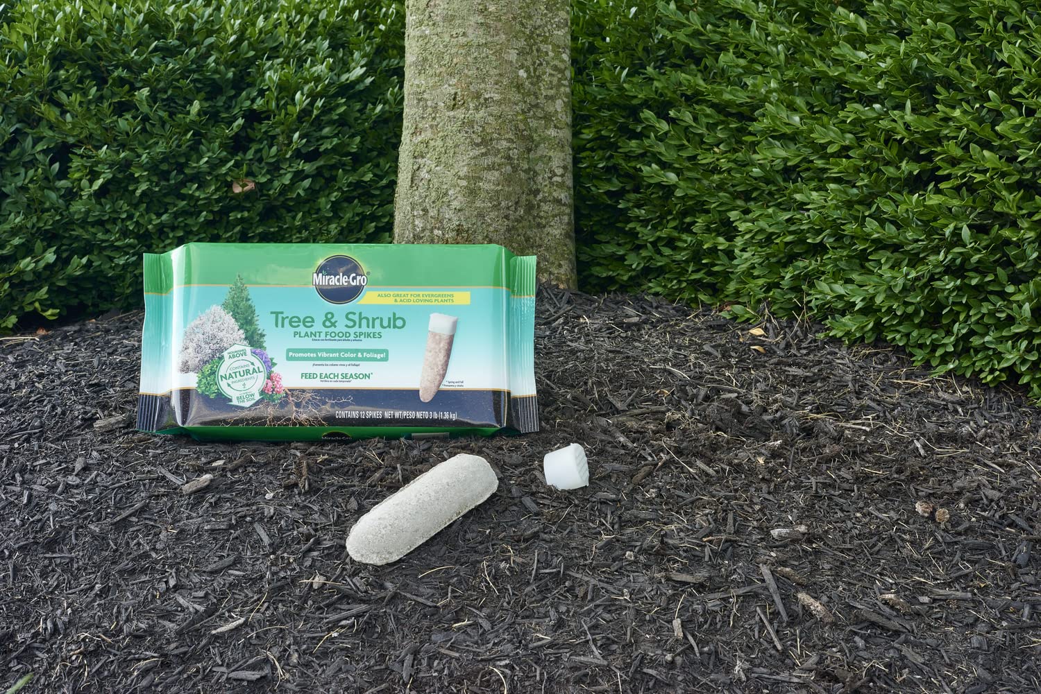 Miracle-Gro Tree & Shrub nutrients dispersing around a tree root zone