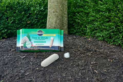 Miracle-Gro Tree & Shrub nutrients dispersing around a tree root zone