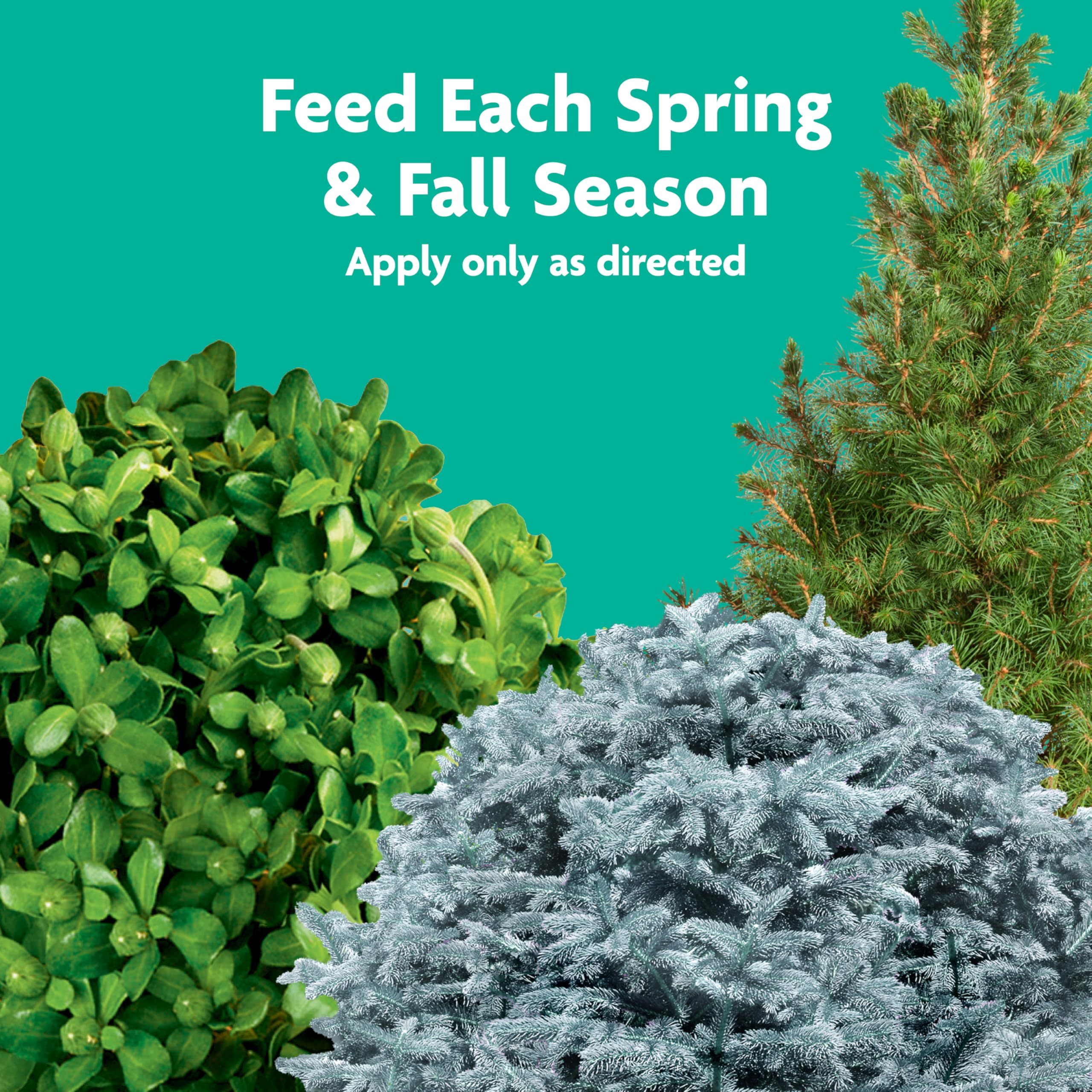Miracle-Gro Tree & Shrub Spikes packaging showing 12 spikes for several plants.