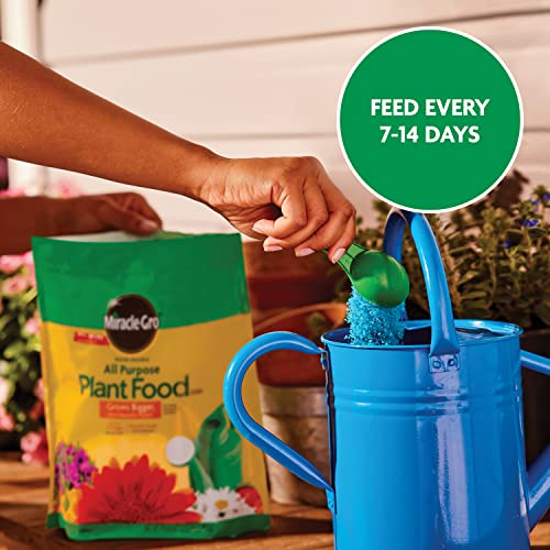 Miracle-Gro trees and shrubs feeding supports healthy growth
