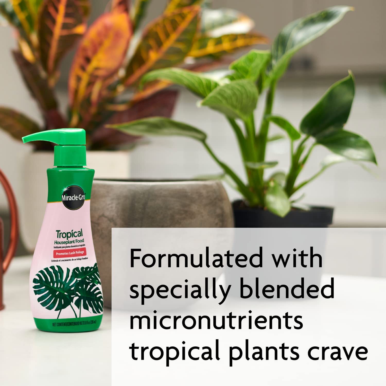 Healthy leaves appear on tropical plants after using Miracle-Gro Tropical Houseplant Food.