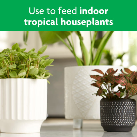 An indoor-plants-scene shows thriving tropical greens after Miracle-Gro feeding.
