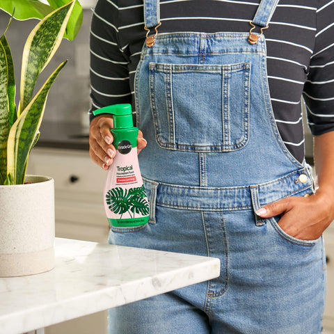 Two-pack Miracle-Gro Tropical Houseplant Food provides ongoing indoor plant care.