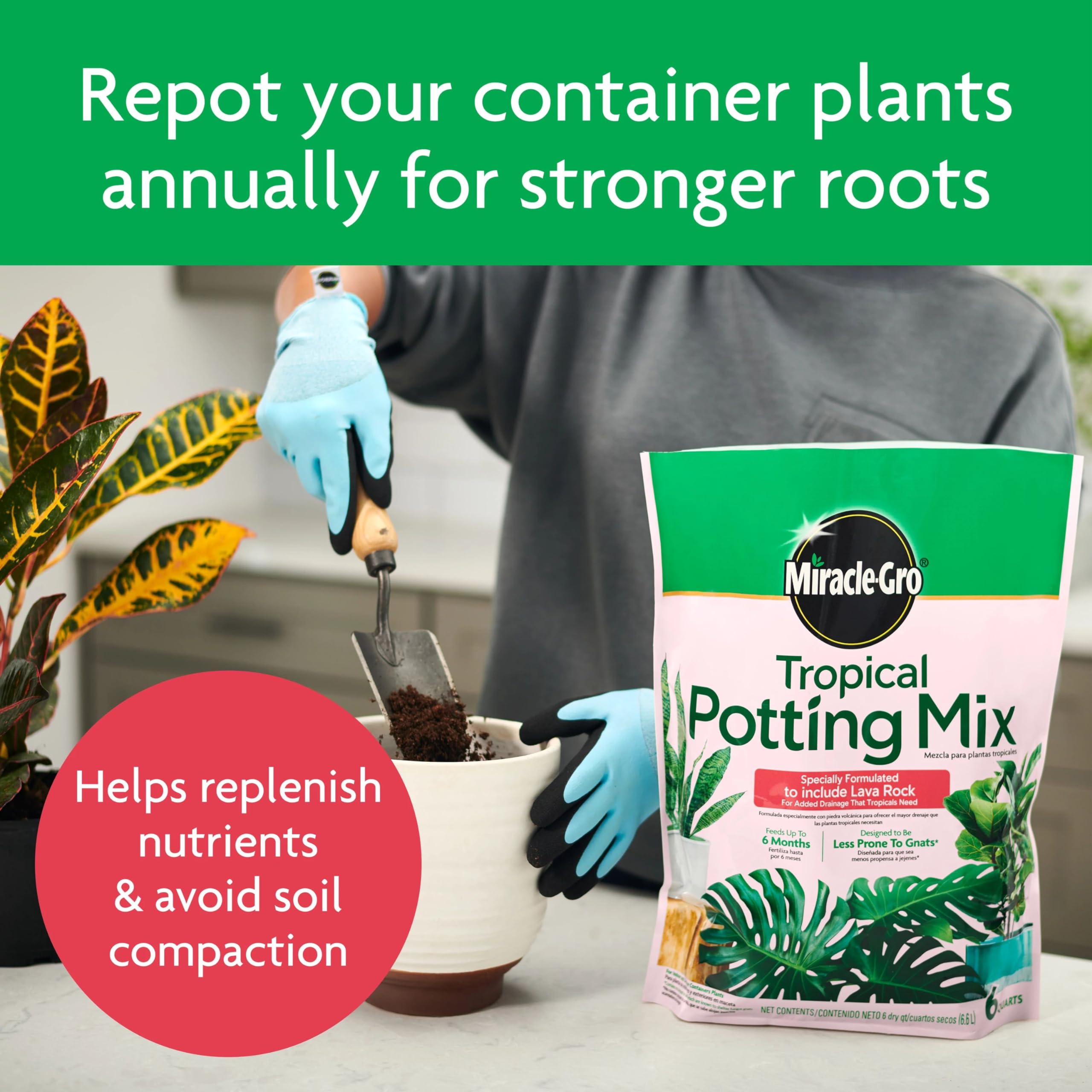 Three 6 qt bags of Miracle-Gro Tropical Potting Mix ready for several pots