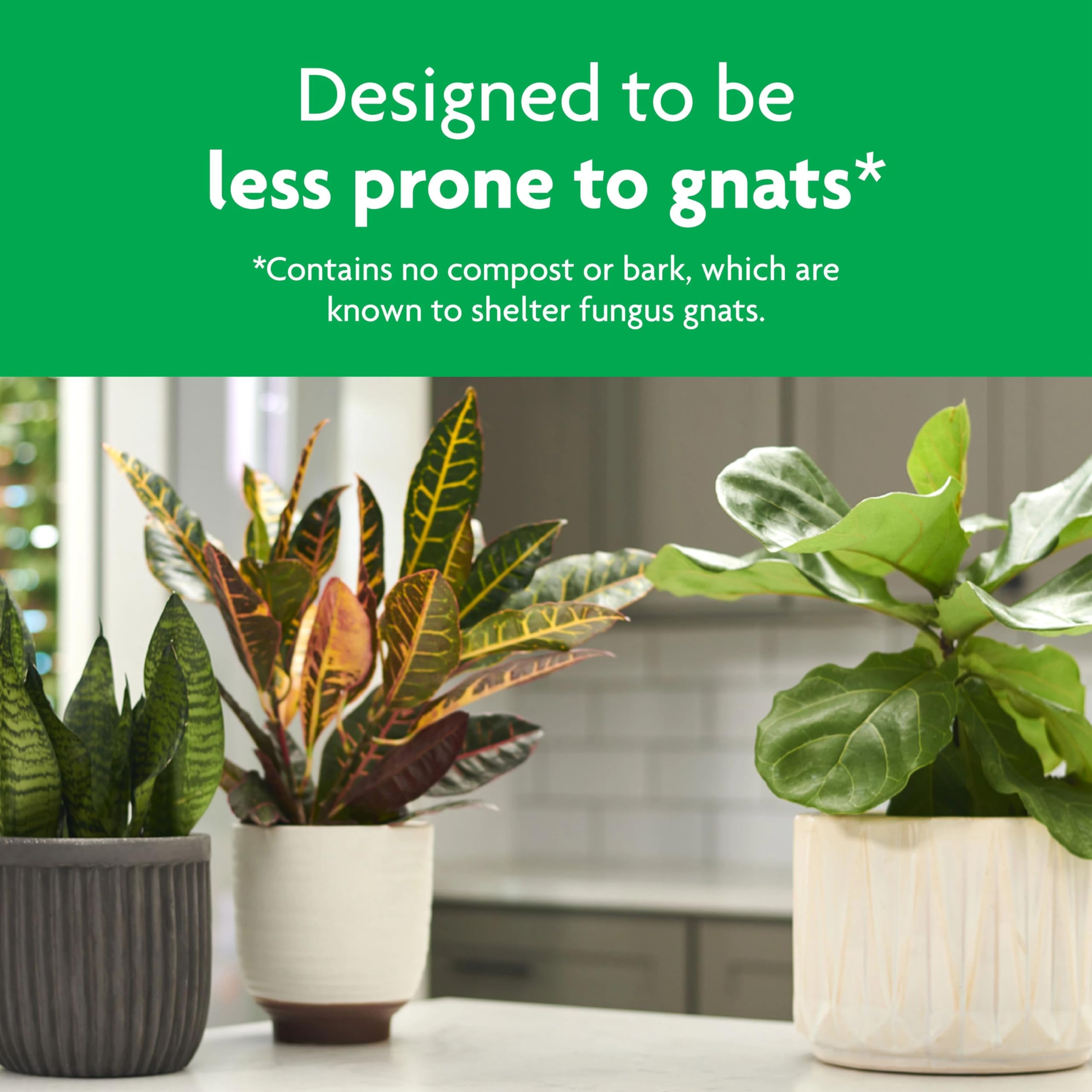 Indoor and outdoor use of Miracle-Gro Tropical Potting Mix for containers