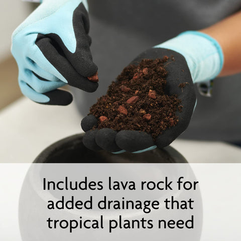 Miracle-Gro Tropical Potting Mix monstera in pot with broad leaves