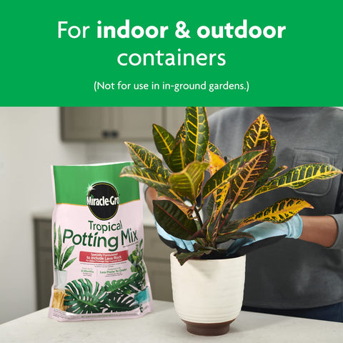 Miracle-Gro Tropical Potting Mix pothos in pot with lush, vibrant leaves