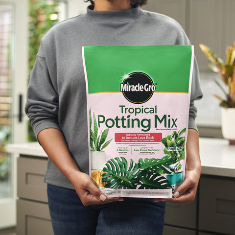 Miracle-Gro Tropical Potting Mix zz plant thriving in container with balanced nutrients