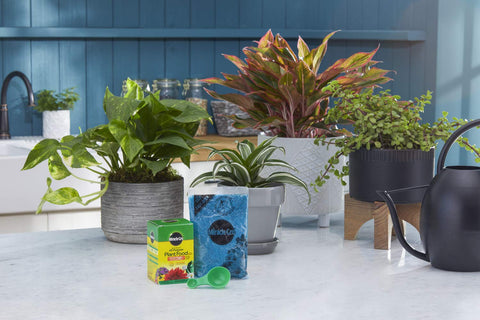 Miracle-Gro two-pack packaging for convenient double supply