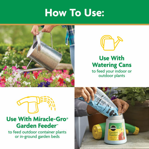 Miracle-Gro Water Soluble All Purpose Plant Food in containers helps flowering plants thrive.