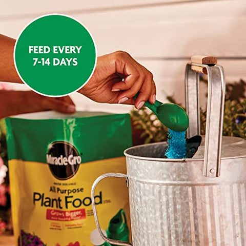 Container-friendly packaging demonstrating easy mixing with a watering can.