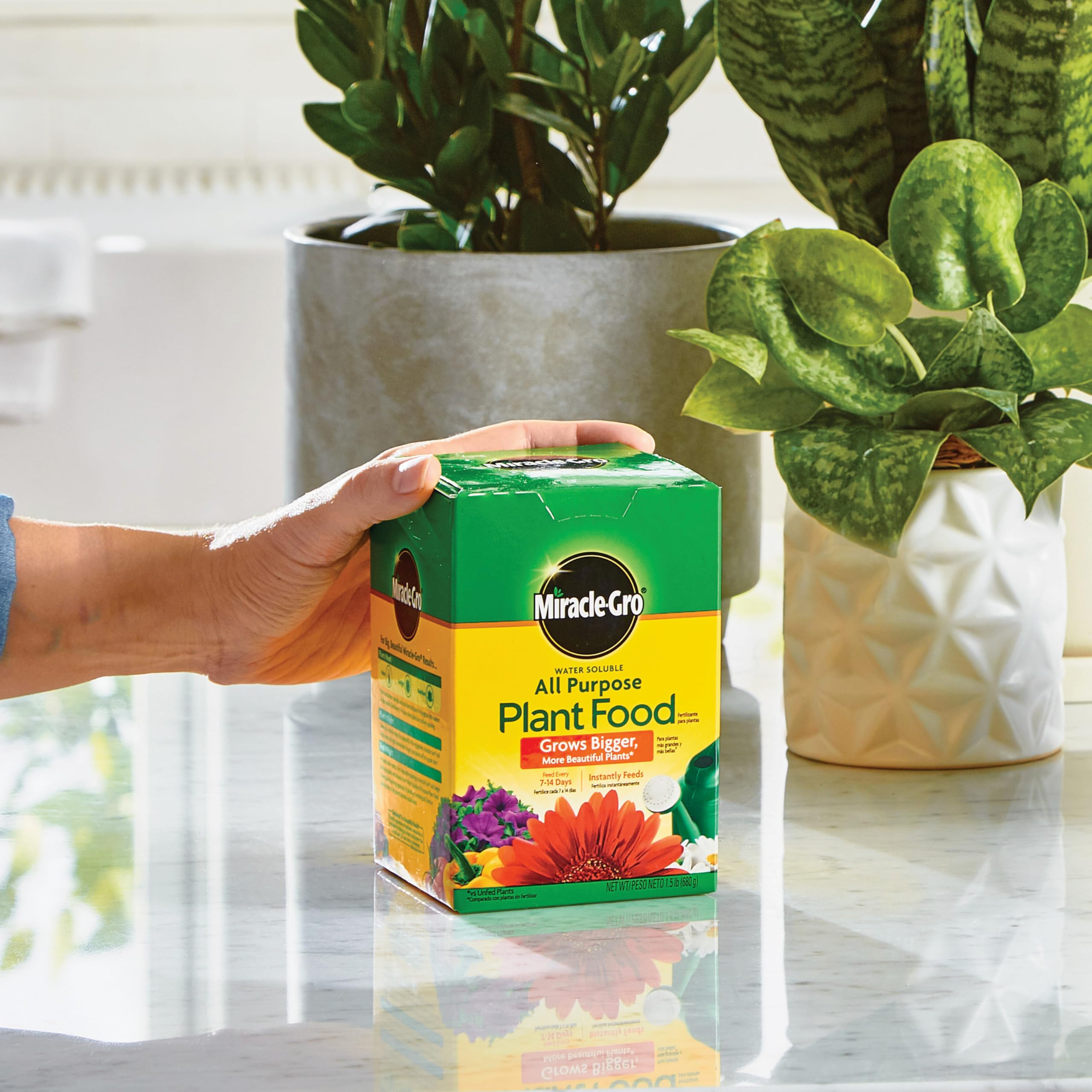 Powder dissolving in water to feed Miracle-Gro plants instantly