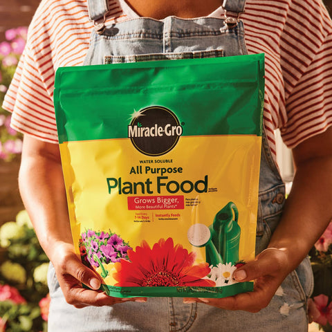 Miracle-Gro dissolved in water being mixed for indoor plant feeding.