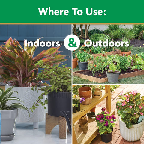 Miracle-Gro helps indoor roses and foliage thrive.
