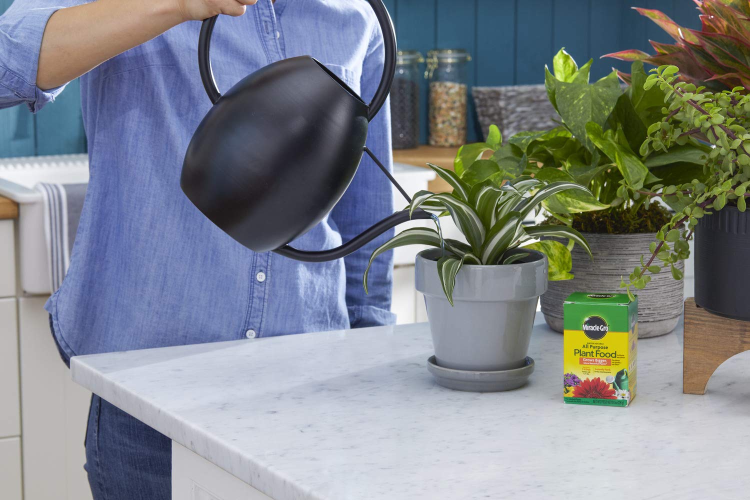 Miracle-Gro for houseplants promotes healthy indoor greenery