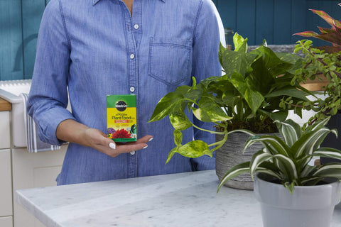 Miracle-Gro plant food added to a watering can for easy outdoor feeding