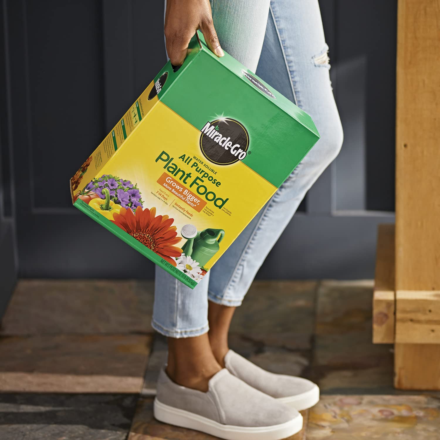 Miracle-Gro indoor plant feeding in a gallon watering can.