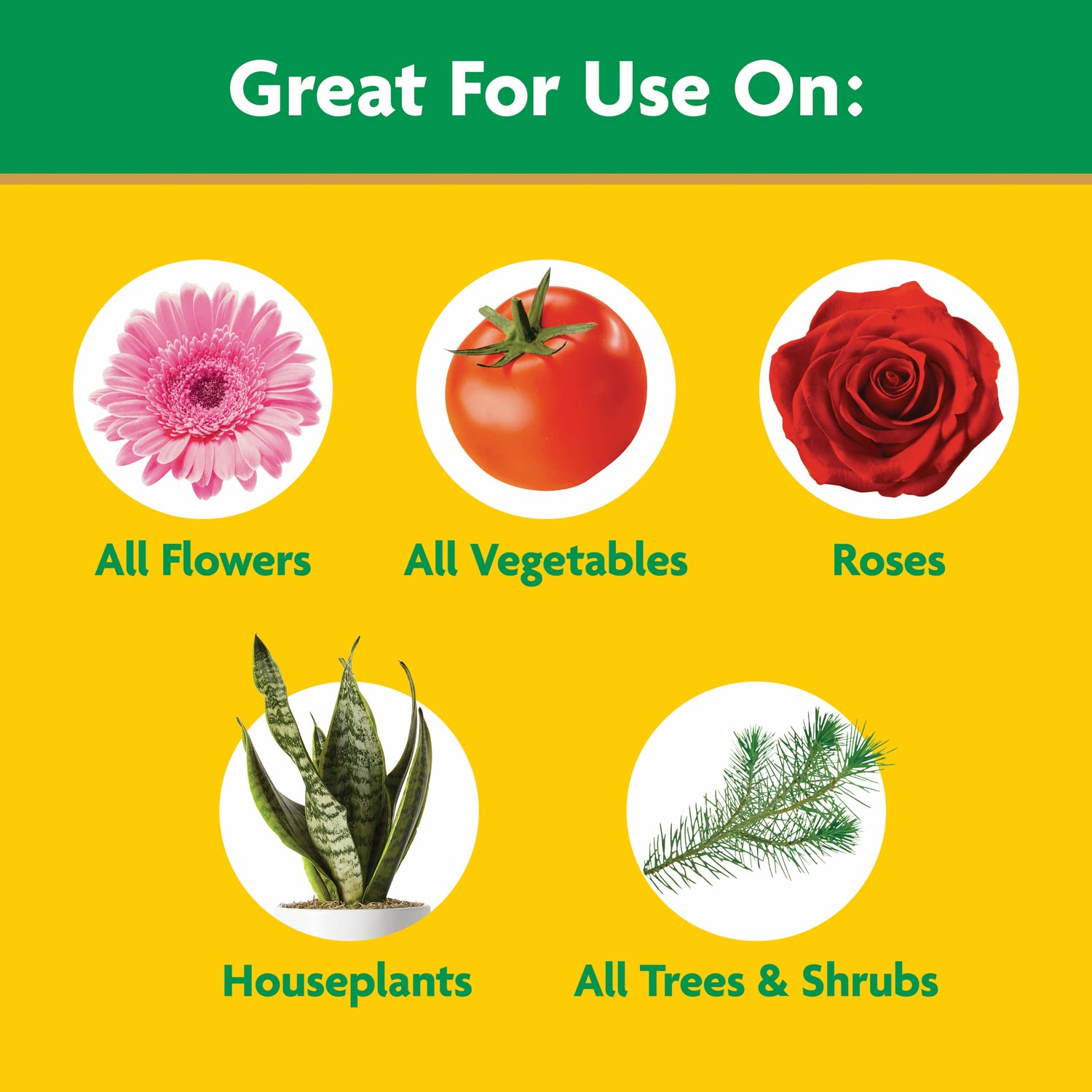Miracle-Gro outdoor garden feeding with can or feeder.